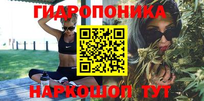 jwh Гай