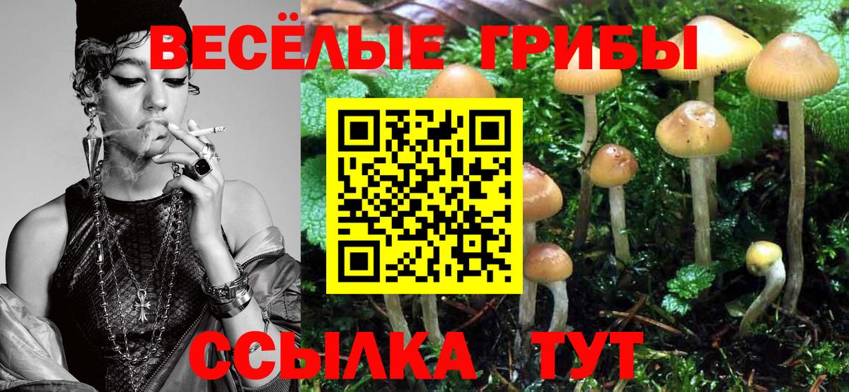 Псилоцибиновые грибы мухоморы Нефтеюганск